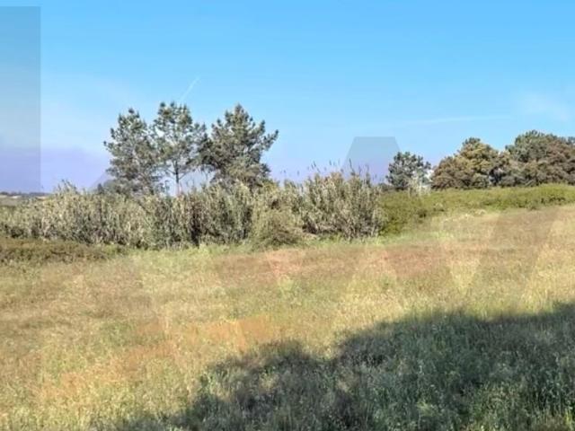 Terreno venda em Asseiceira, Rio Maior
