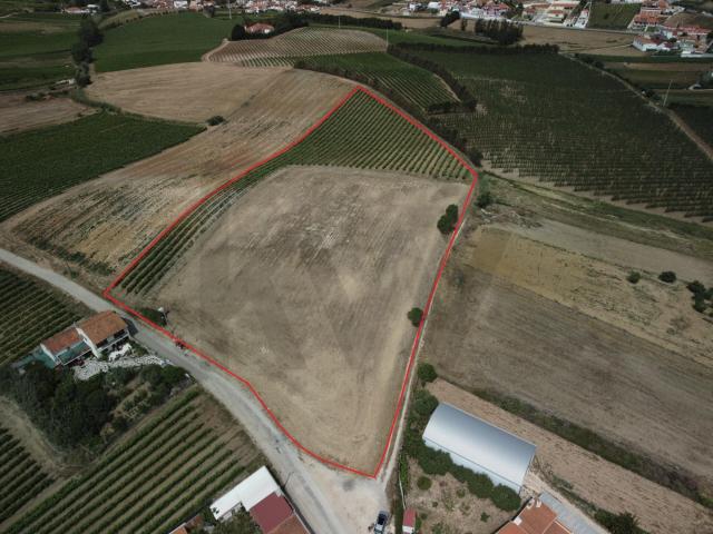 Terreno venda em Poços, Torres Vedras