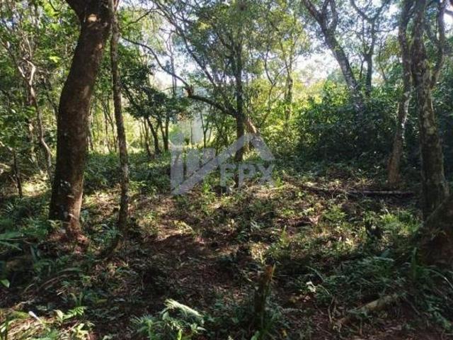 Terreno venda em Região Imediata de Santos, Região Metropolitana da Baixada Santista
