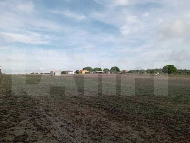 Terreno venda em Bairro Almansor, Montijo