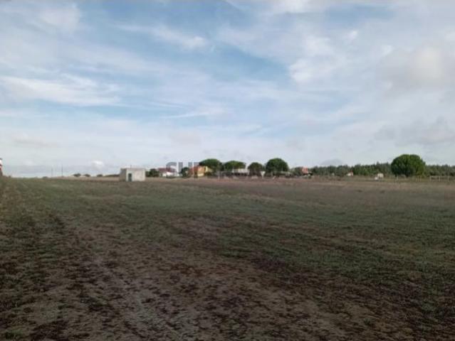 Terreno venda em Montijo, Setúbal