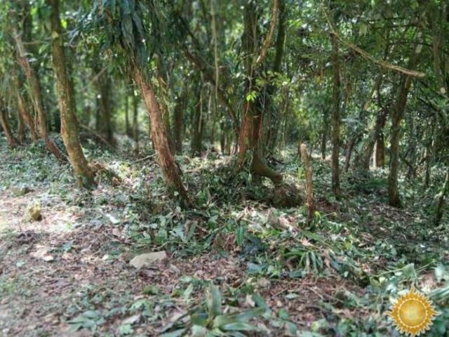 Terreno venda em Região Imediata de Caraguatatuba-Ubatuba-São Sebastião, Região Metropolitana do Vale do Paraíba e Litoral Norte