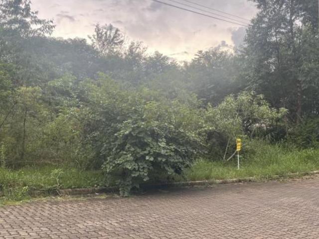 Terreno venda em Região Geográfica Imediata de Novo Hamburgo - São Leopoldo, Região Metropolitana de Porto Alegre