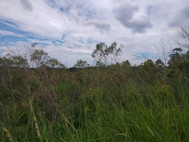 Terreno venda em Região Geográfica Imediata de Porto Alegre, Região Metropolitana de Porto Alegre