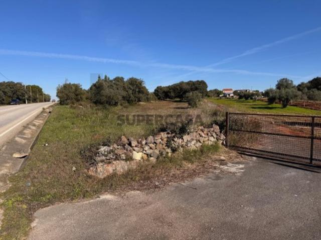 Terreno venda em Parceiros de São João, Torres Novas