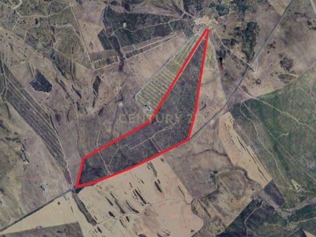 Terreno venda em São Miguel Do Pinheiro, Beja