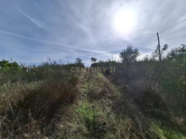 Terreno venda em Almodôvar, Beja