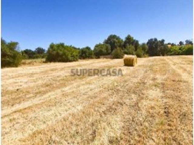 Terreno venda em Algoz, Faro