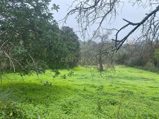 Terreno venda em Loulé, Faro