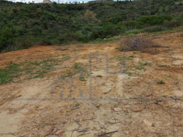 Terreno venda em Torre De Moncorvo, Bragança