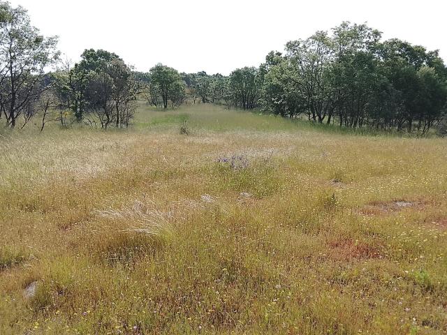 Terreno venda em Guarda, Baraçal