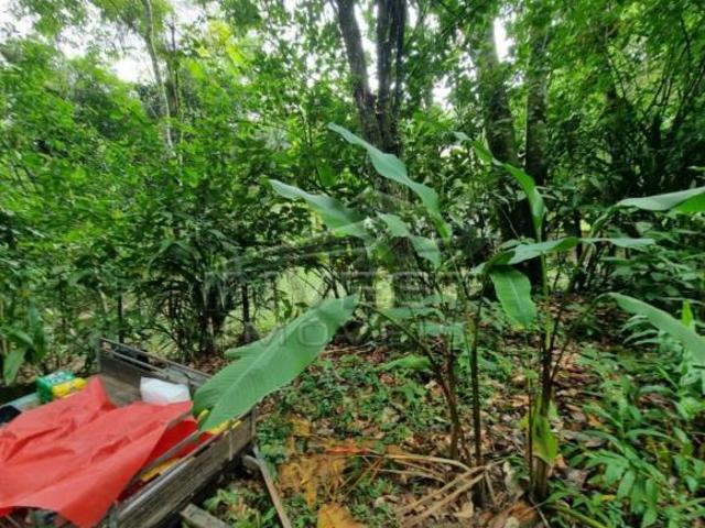 Terreno venda em Região Imediata de Caraguatatuba-Ubatuba-São Sebastião, Região Metropolitana do Vale do Paraíba e Litoral Norte