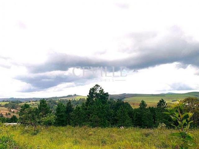 Terreno venda em Região Geográfica Imediata de Belo Horizonte, Região Metropolitana de Belo Horizonte