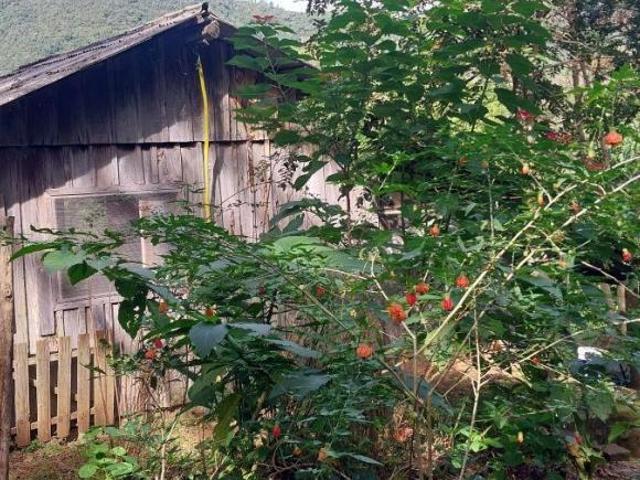 Sítio e chácara venda em Condomínio José Bonifácio, São Francisco de Paula
