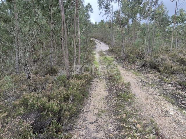 Terreno venda em Alenquer, Lisboa