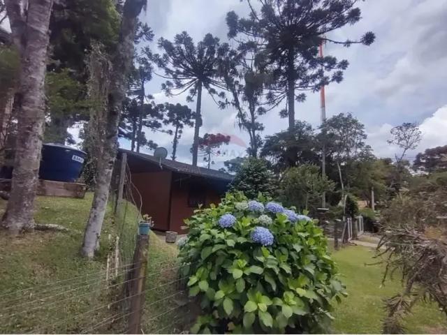 Ponto Comercial venda em Região Geográfica Imediata de Caxias do Sul, Canela