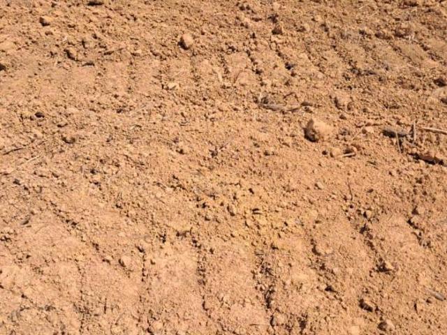 Sítio e chácara venda em Região Geográfica Imediata de Águas Lindas de Goiás, Região Integrada de Desenvolvimento do Distrito Federal e Entorno