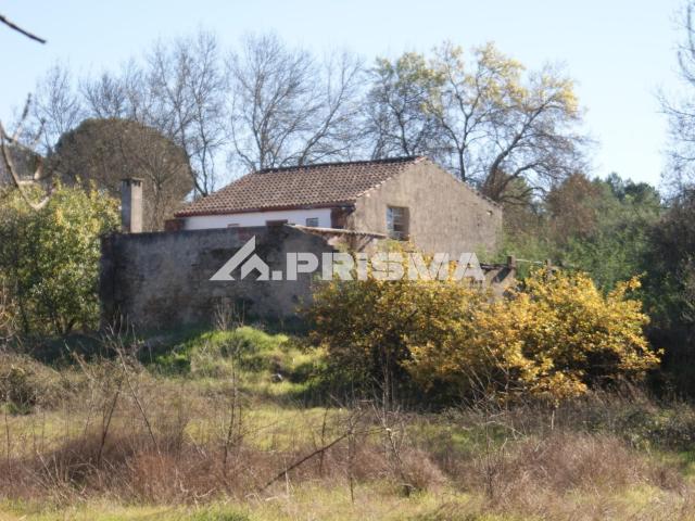 Terreno venda em Castelo Branco