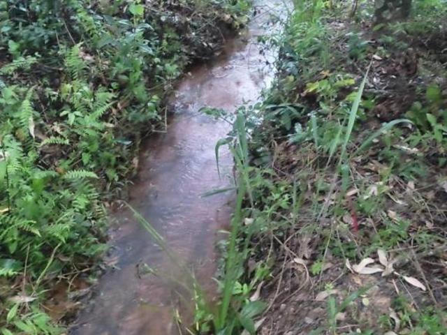 Sítio e chácara venda em Região Geográfica Imediata de Oliveira, Piedade dos Gerais