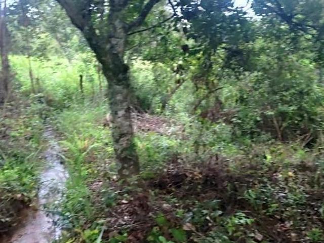 Sítio e chácara venda em Região Geográfica Imediata de Oliveira, Piedade dos Gerais