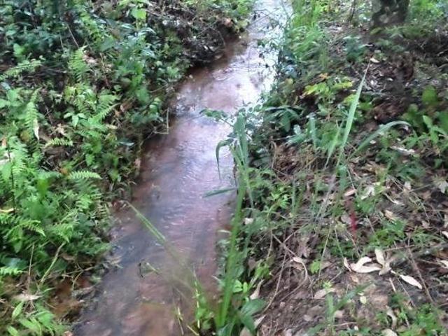 Sítio e chácara venda em Piedade dos Gerais, Região Geográfica Intermediária de Divinópolis