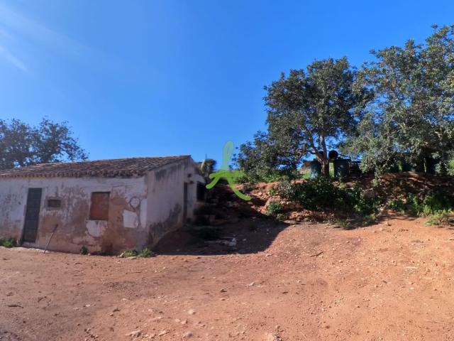 Quinta venda em Estômbar, Faro