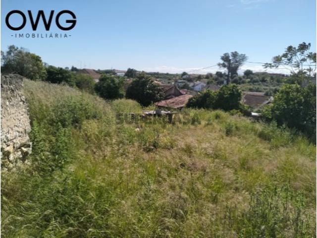 Terreno venda em Santarém