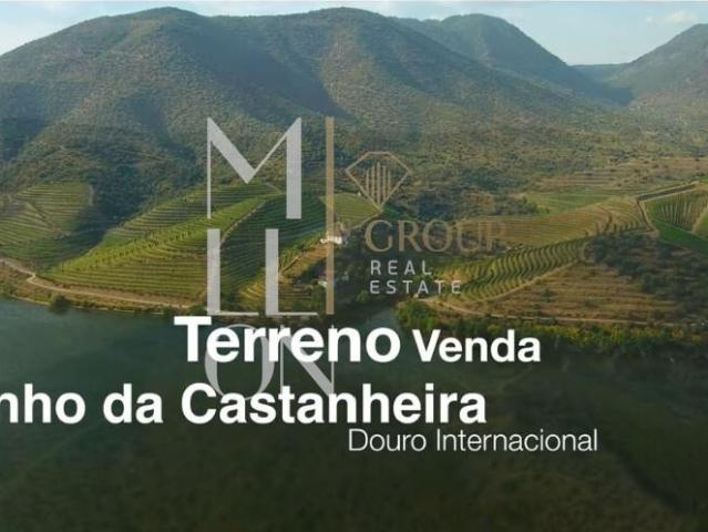 Terreno venda em Carrazeda De Ansiães, Bragança