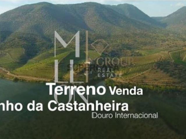 Terreno venda em Carrazeda De Ansiães, Bragança