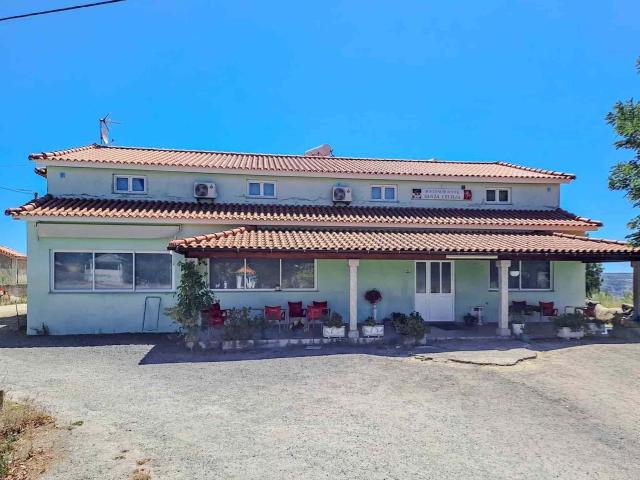 Loja venda em Vila Flor, Bragança