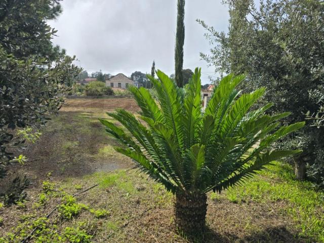 Terreno venda em Prazeres, Ilha Da Madeira