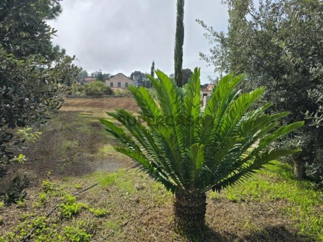 Terreno venda em Prazeres, Ilha Da Madeira