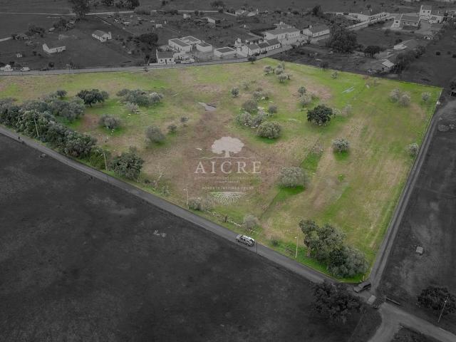 Terreno venda em Viana Do Alentejo, Évora