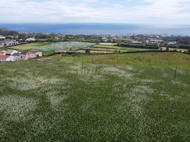 Terreno venda em Açores