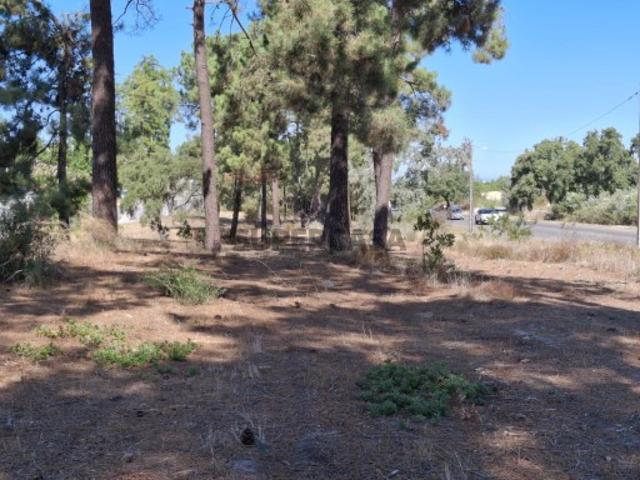 Terreno venda em Azeitão (São Lourenço e São Simão), Setúbal