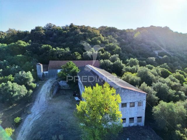 Armazém venda em Santarém