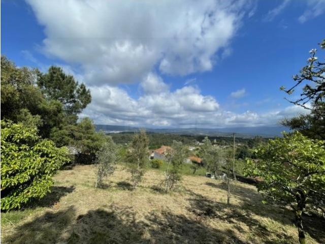 Terreno venda em Algaça, Vila Nova De Poiares