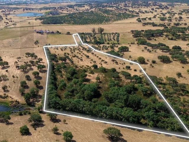 Terreno venda em Almodôvar, Beja