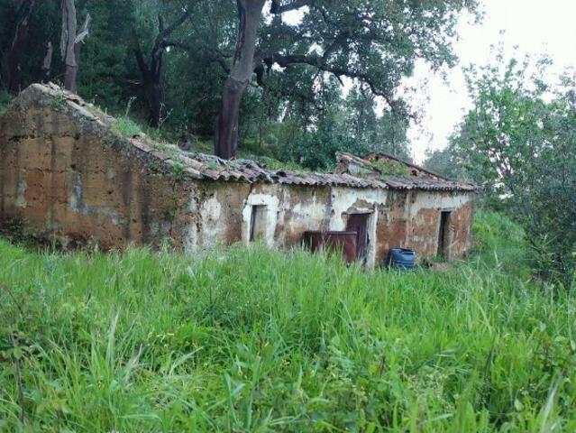 Quinta venda em Monchique, Faro
