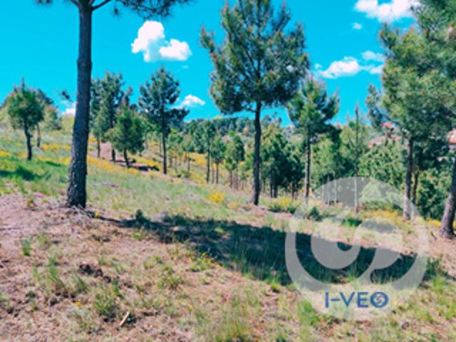 Terreno venda em Chaves, Vila Real