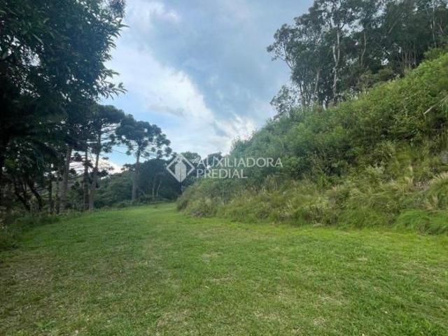 Terreno venda em Região Geográfica Imediata de Caxias do Sul, Gramado