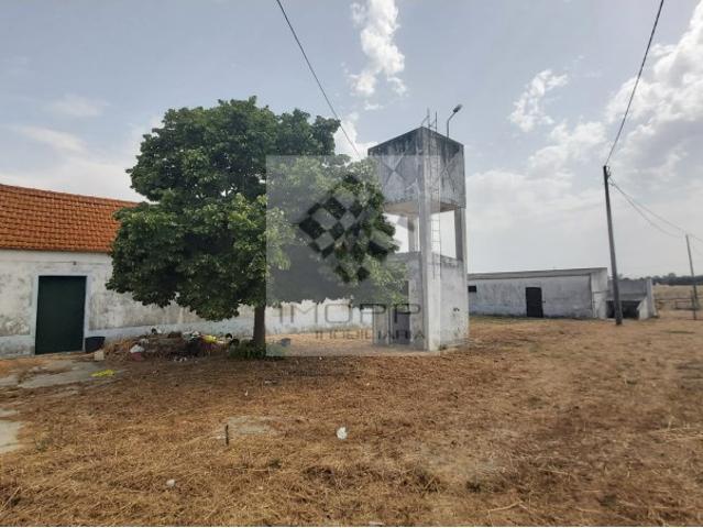 Quinta venda em Palmela, Setúbal