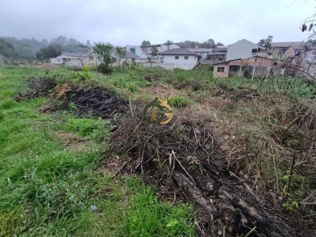 Terreno venda em Região Geográfica Imediata de Curitiba, Região Metropolitana de Curitiba