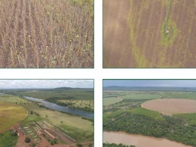Sítio e chácara venda em Região Geográfica Imediata de Patos de Minas, Paracatu