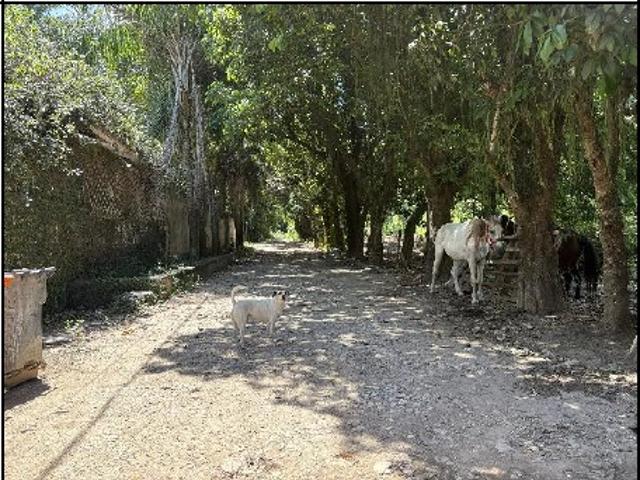 Terreno venda em Região Geográfica Imediata do Rio de Janeiro, Região Metropolitana do Rio de Janeiro