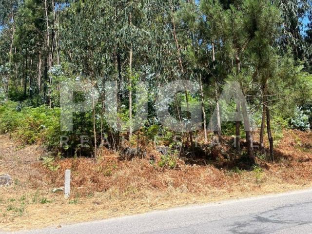Terreno venda em Vila Maior, Santa Maria da Feira
