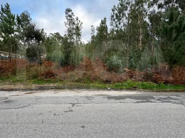 Terreno venda em Vila Maior, Santa Maria da Feira