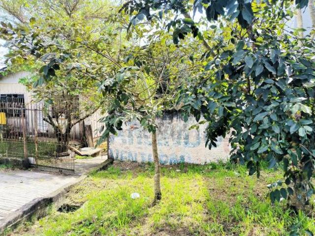 Terreno venda em Região Geográfica Imediata de Curitiba, Região Metropolitana de Curitiba