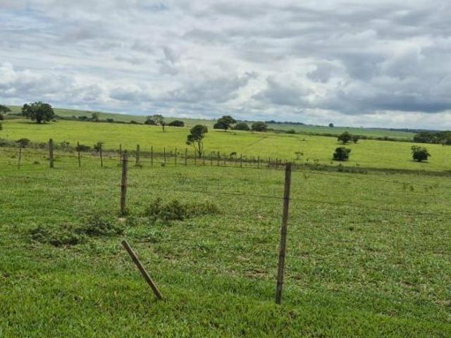 Sítio e chácara venda em Região Imediata de Presidente Prudente, Martinópolis