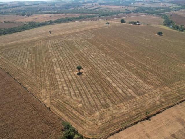 Sítio e chácara venda em Região Geográfica Imediata de Piracanjuba, Piracanjuba